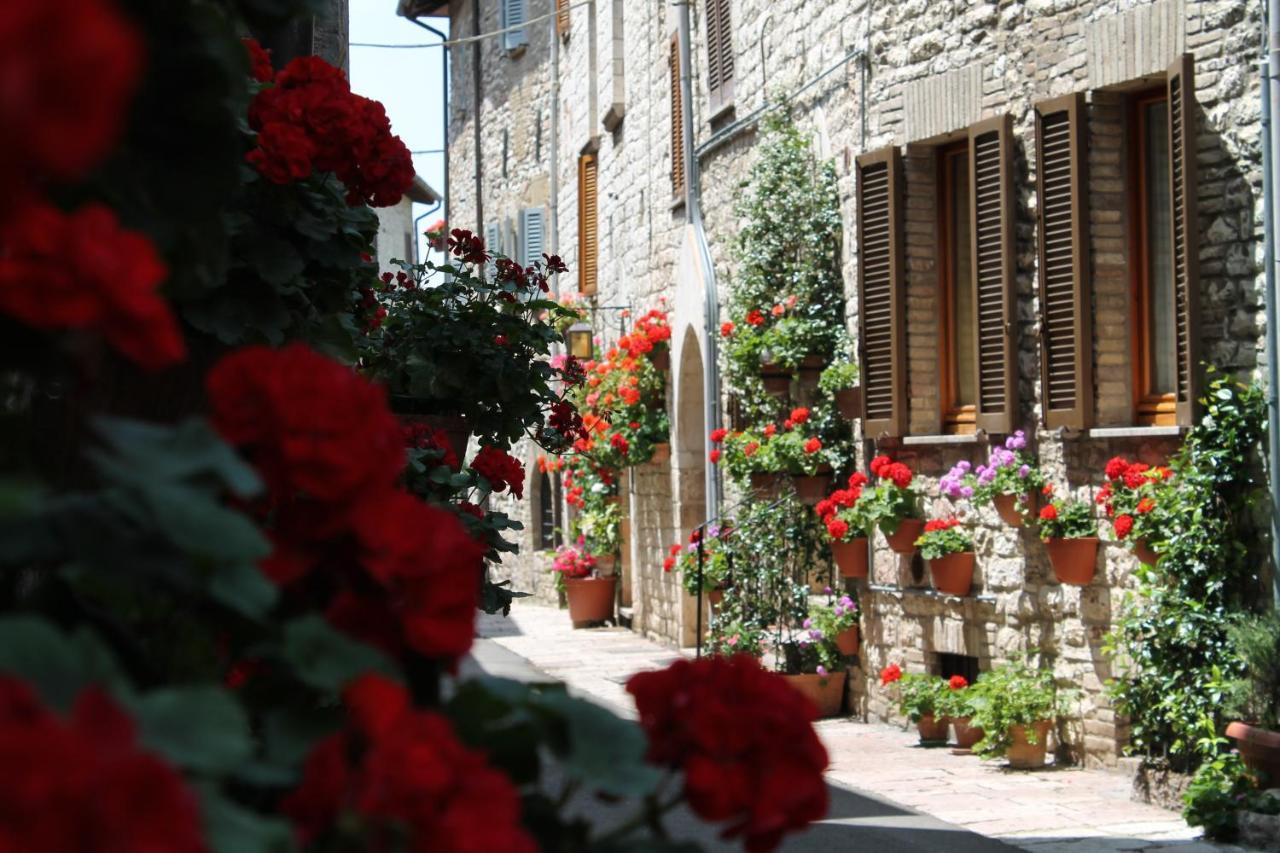 Ferienwohnung Casa Gentile Assisi Exterior foto